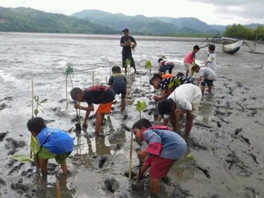 Program konservasi mangrove We SAVE Indonesia